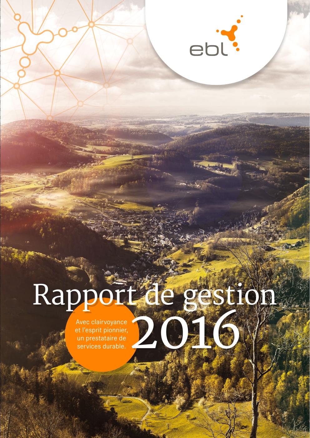Rapport de gestion 2016