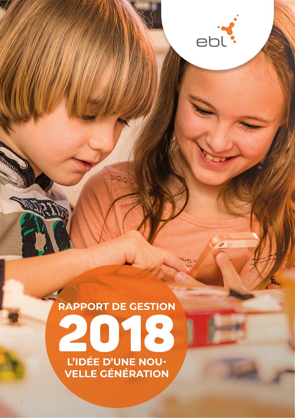 Rapport de gestion 2018